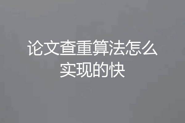 论文查重算法怎么实现的快