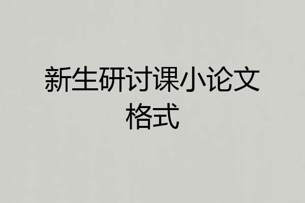 新生研讨课小论文格式