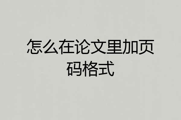 怎么在论文里加页码格式