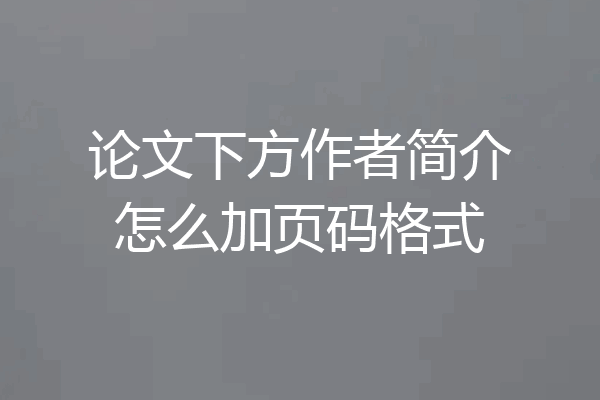论文下方作者简介怎么加页码格式