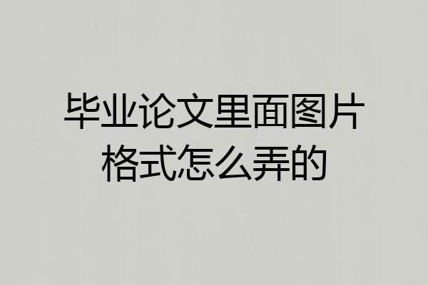 毕业论文里面图片格式怎么弄的