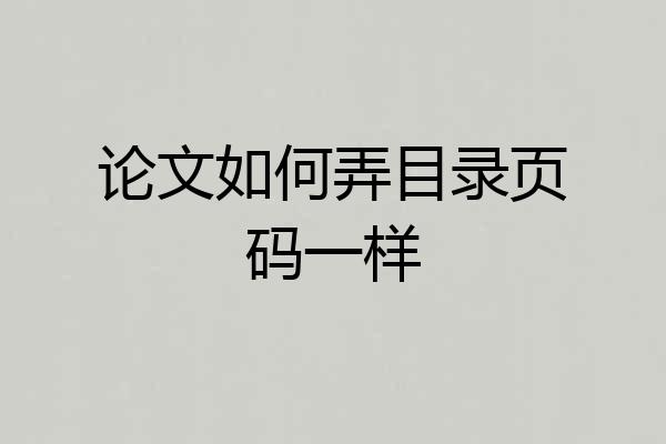 论文如何弄目录页码一样