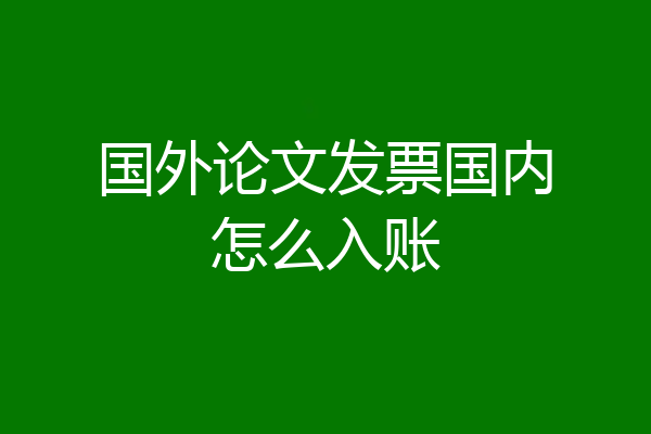 国外论文发票国内怎么入账