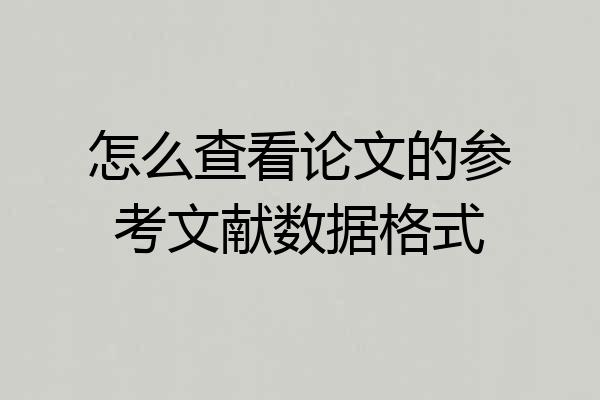 怎么查看论文的参考文献数据格式