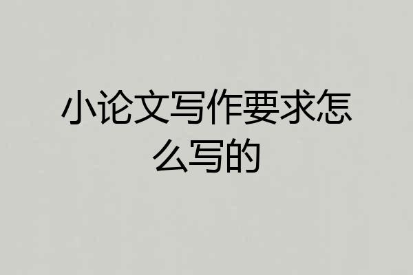 小论文写作要求怎么写的