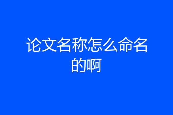 论文名称怎么命名的啊