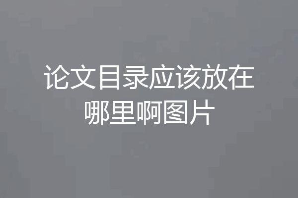 论文目录应该放在哪里啊图片