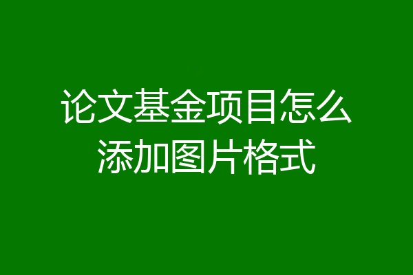 论文基金项目怎么添加图片格式