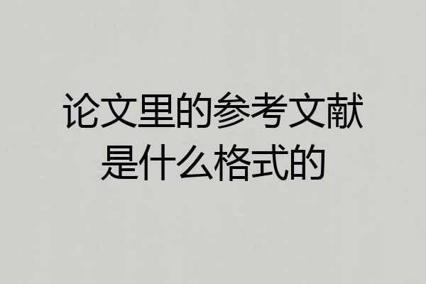 论文里的参考文献是什么格式的