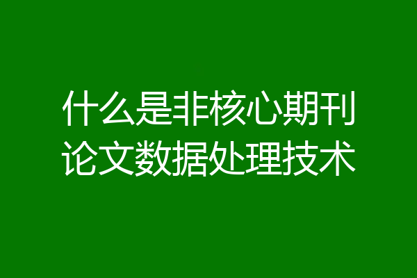 什么是非核心期刊论文数据处理技术