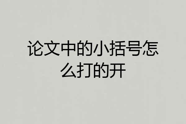 论文中的小括号怎么打的开