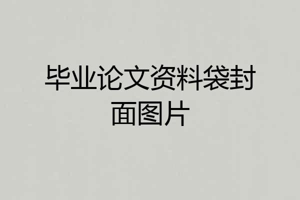 毕业论文资料袋封面图片