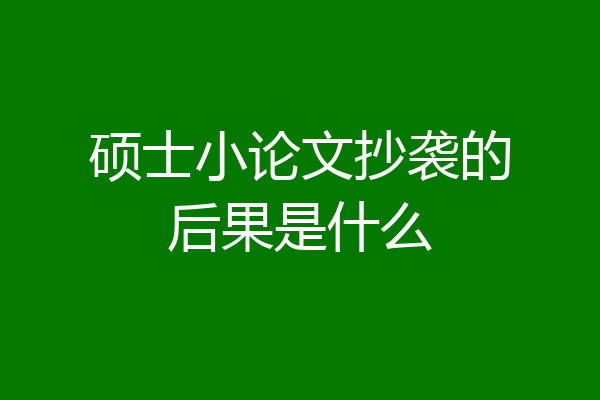 硕士小论文抄袭的后果是什么