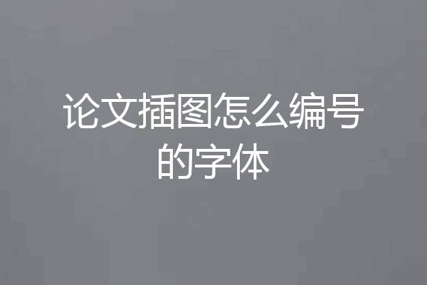 论文插图怎么编号的字体