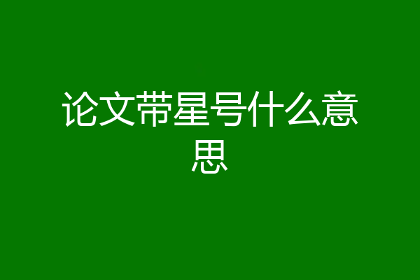 论文带星号什么意思