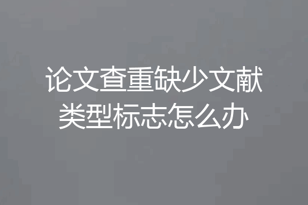 论文查重缺少文献类型标志怎么办