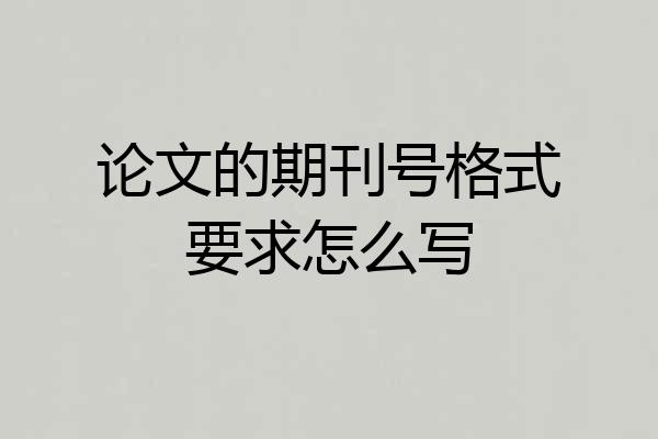 论文的期刊号格式要求怎么写