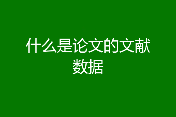 什么是论文的文献数据