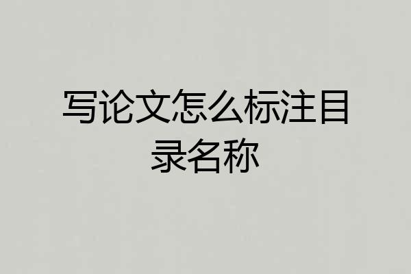 写论文怎么标注目录名称
