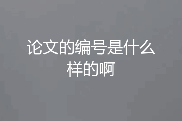 论文的编号是什么样的啊
