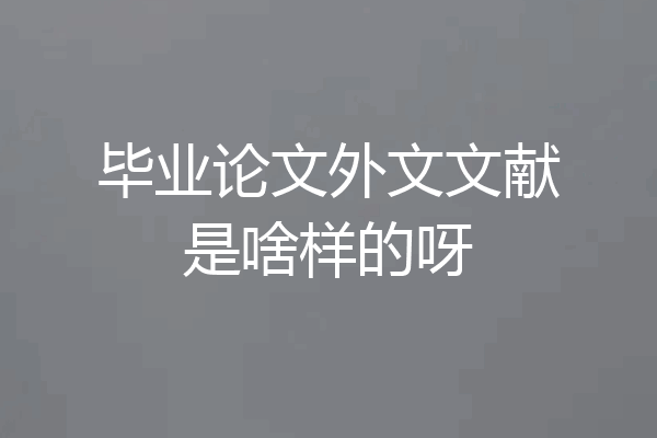 毕业论文外文文献是啥样的呀