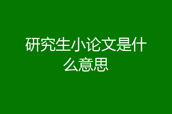 研究生小论文是什么意思