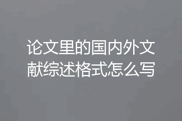论文里的国内外文献综述格式怎么写