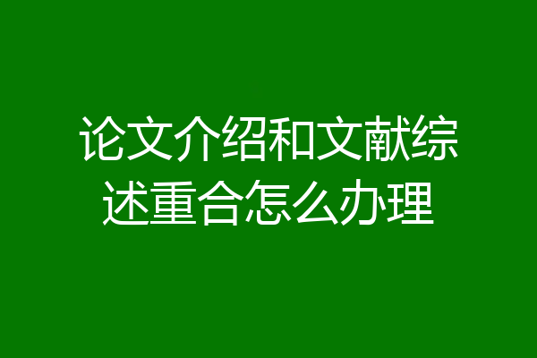 论文介绍和文献综述重合怎么办理