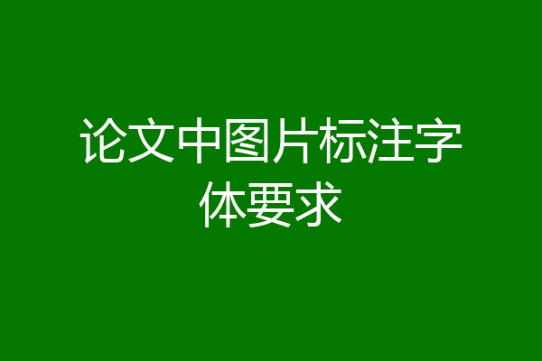 论文中图片标注字体要求