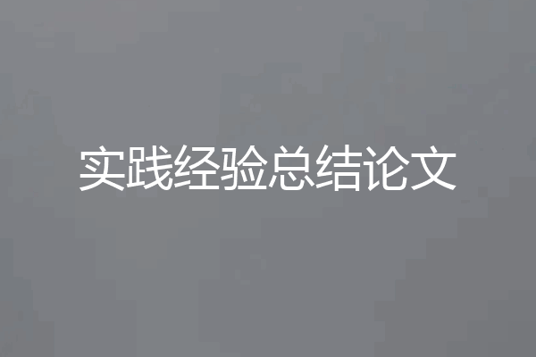 实践经验总结论文