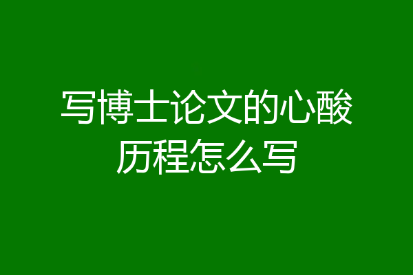 写博士论文的心酸历程怎么写