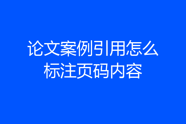 论文案例引用怎么标注页码内容