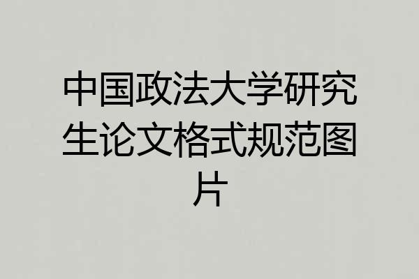 中国政法大学研究生论文格式规范图片