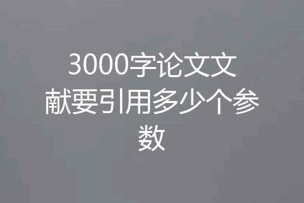 3000字论文文献要引用多少个参数