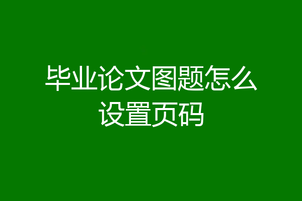 毕业论文图题怎么设置页码