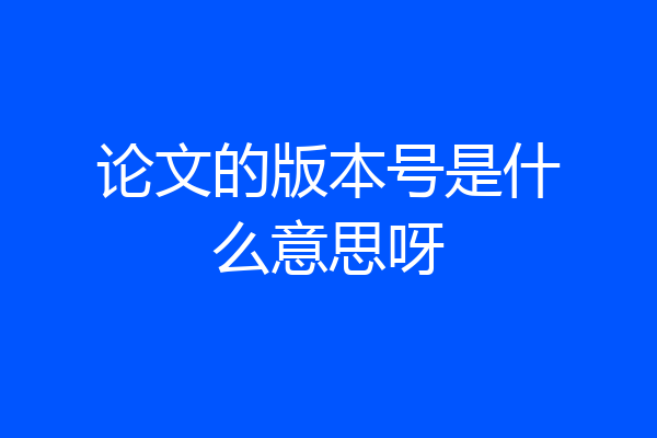 论文的版本号是什么意思呀