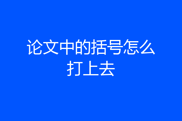 论文中的括号怎么打上去
