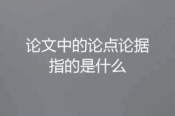 论文中的论点论据指的是什么