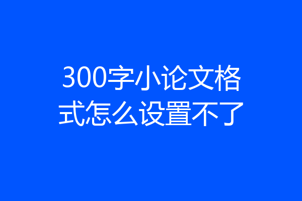 300字小论文格式怎么设置不了