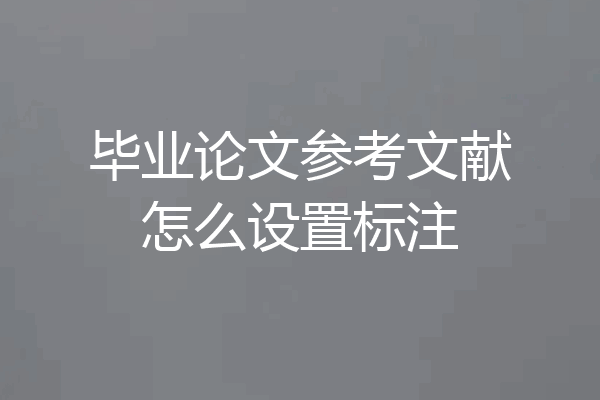 毕业论文参考文献怎么设置标注