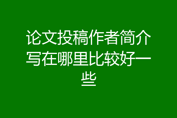 论文投稿作者简介写在哪里比较好一些