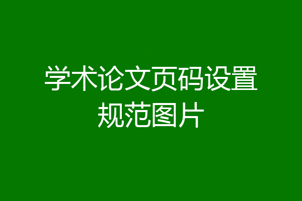 学术论文页码设置规范图片