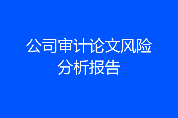 公司审计论文风险分析报告
