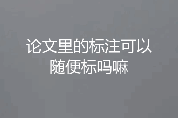 论文里的标注可以随便标吗嘛