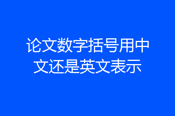 论文数字括号用中文还是英文表示