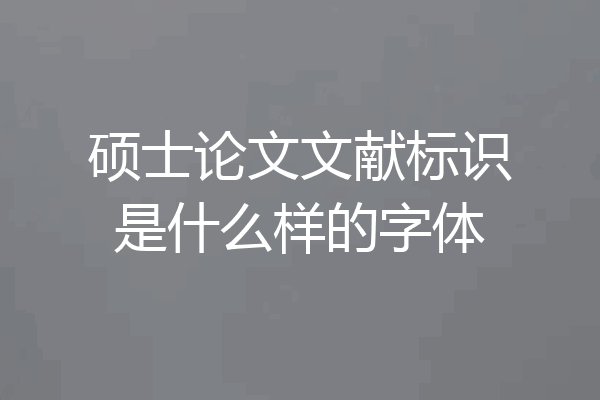 硕士论文文献标识是什么样的字体