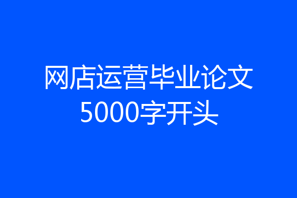 网店运营毕业论文5000字开头