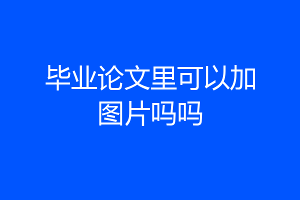 毕业论文里可以加图片吗吗