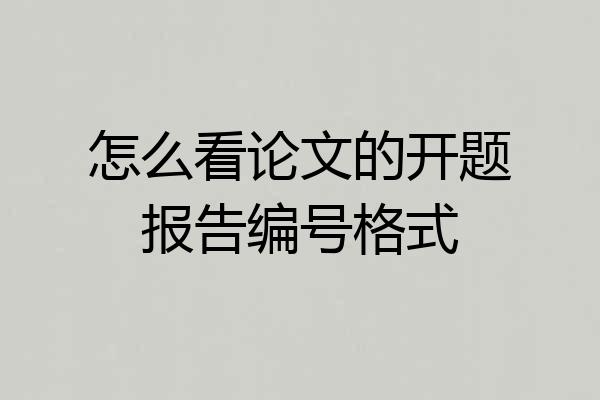 怎么看论文的开题报告编号格式