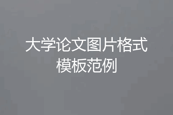 大学论文图片格式模板范例